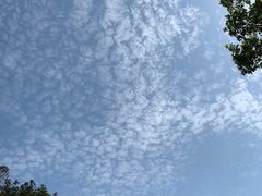 -湖南四明山国家森林公园
