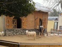 -HERRE·FARM 赫尔露营农场·团建聚会包场