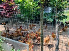 -寒岩夕照农家乐