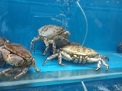 -港畔赶海蒸汽海鲜烧烤自助(仙螺岛店)