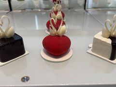 -BLACKSWAN黑天鹅(新希望店)