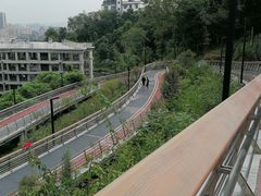 -大渡口区义渡公园