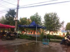 -小叮当动物医院·骨科·眼科