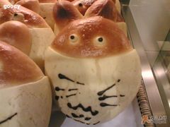 龙猫-多乐之日(五道口店)