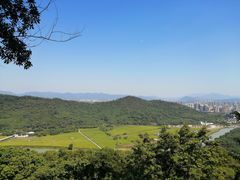 -风云岭森林公园