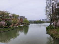 -青枫公园