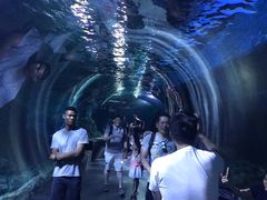-暹罗海洋世界