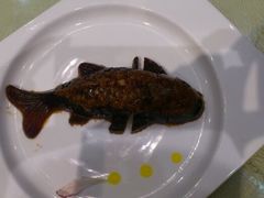 android_upload_pic-琼林徽宴(中央门店)