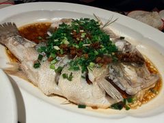 葱油鲈鱼-新白鹿餐厅(爱琴海购物中心店)