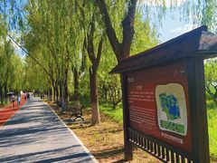 -大兴滨河森林公园