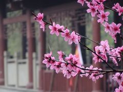 -重庆彩云湖湿地公园