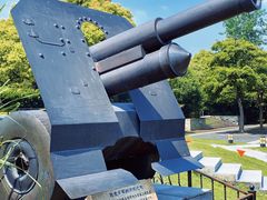 -上海吴淞炮台湾国家湿地公园