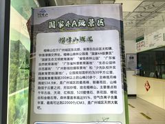 -广州市帽峰山景区