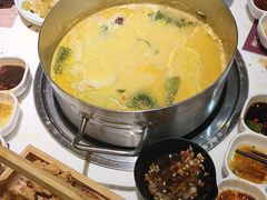 -洪氏嗨捞·猪肚鸡火锅(阳光天地店)