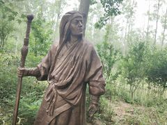 -合肥滨湖国家森林公园