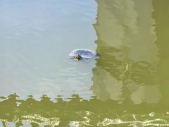 -福道