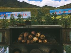 -扁都口生态休闲旅游区