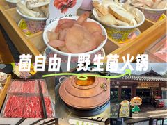 -菌自由丨野生菌火锅特色庭院餐厅(丽江古城店)