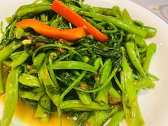 马拉盏炒通菜-今之味南亚厨房·探店指南(领展购物广场店)