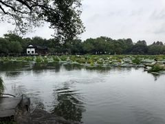 -西湖游船