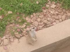 -无锡动物园·太湖欢乐园