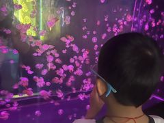 -烟台海昌鲸鲨海洋公园