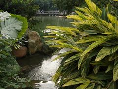 景点-广州珠江公园