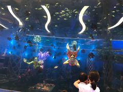 -瑞德姆美人鱼海底演艺主题餐厅(亚龙湾店)