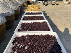 -苏州市吴中区光福窑上花果蜜饯厂