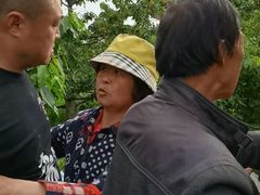 -白鹿原樱桃园