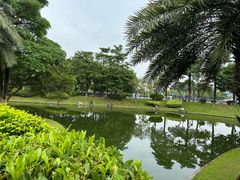 -长洲岛
