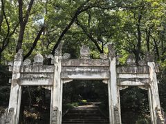 -灵谷景区
