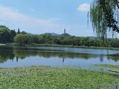 -北坞公园