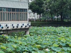 -荔湾湖公园