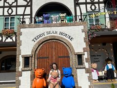 -济州岛泰迪熊博物馆