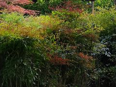 -唐城墙遗址公园