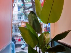 -米泰芒·东南亚料理(体育西店)