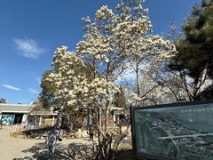 -国家植物园南园