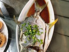 -七鲜渔港美食餐厅(巽寮湾海景店)
