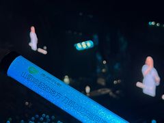 -大连体育中心体育馆