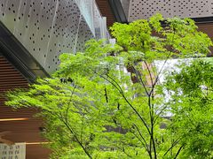 -瑞虹新天地月亮湾
