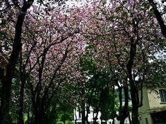 -广东外语外贸大学(白云山校区)