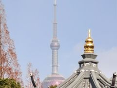 -豫园湖心亭茶楼