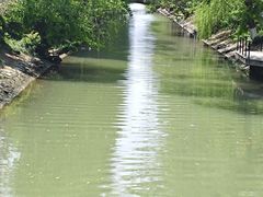 -上海交通大学闵行校区-包玉刚图书馆