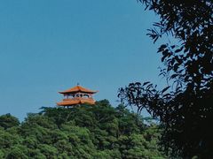 -大屏嶂森林公园