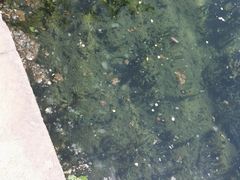 -水磨沟公园