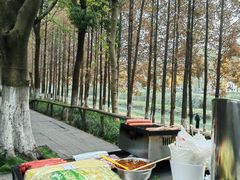 -升仙湖公园