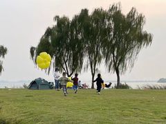 -漕湖湿地公园