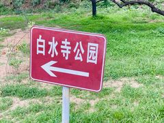 -白水寺森林公园