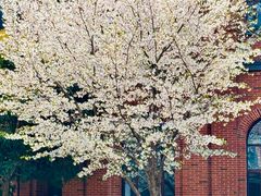 -浙江大学(海宁国际校区)